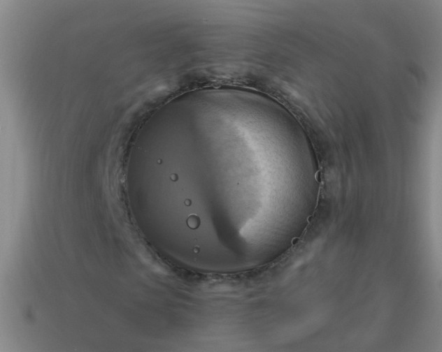 X0000114100913200910191639