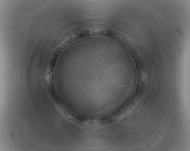 X0000114100914200910191639