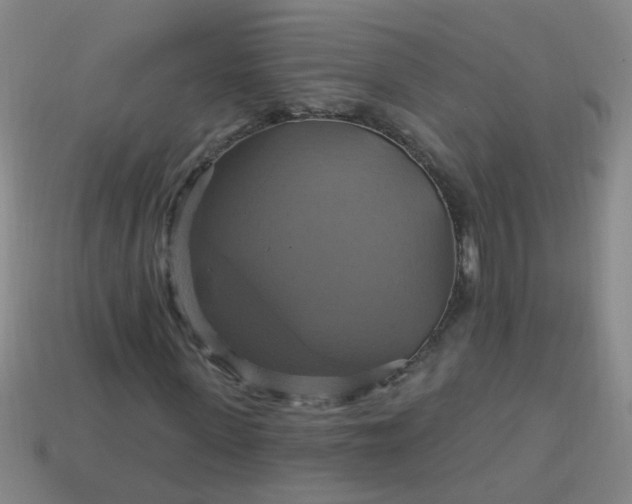 X0000114100915200910191639