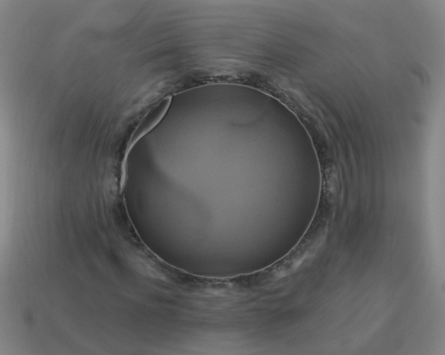 X0000114100916200910191639