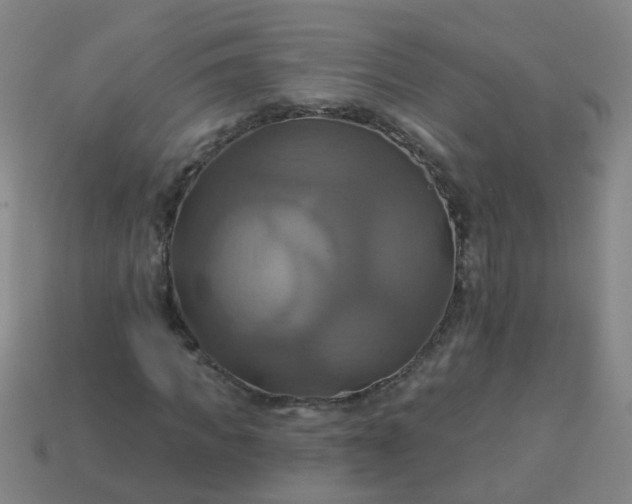 X0000114100917200910191639