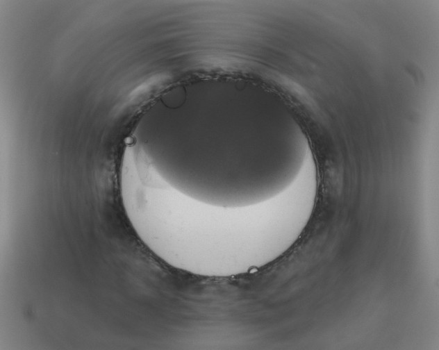 X0000114100918200910191639