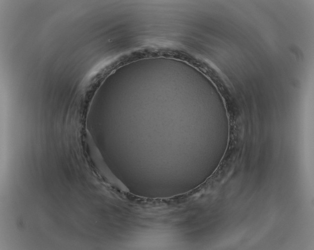 X0000114100919200910191639