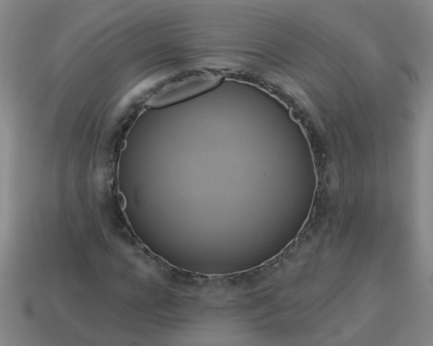 X0000114100920200910191639