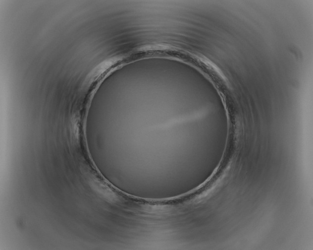 X0000114100921200910191639