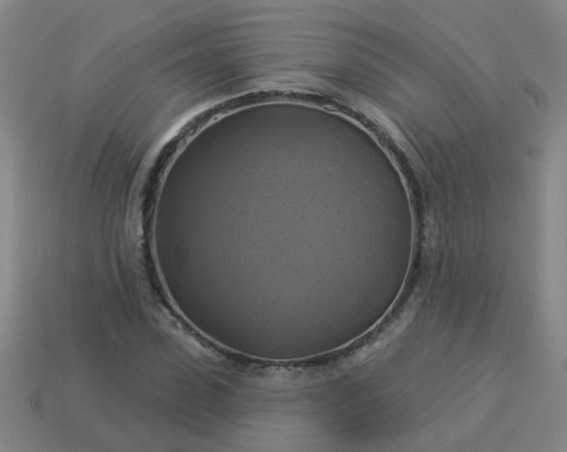 X0000114100923200910191639