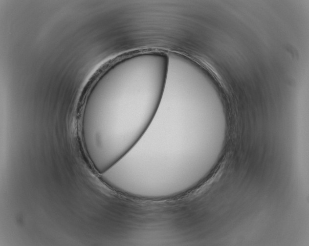 X0000114100924200910191639