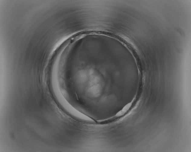 X0000114100925200910191639