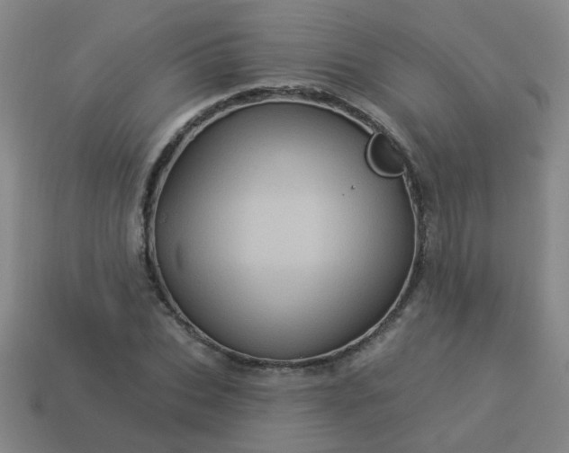 X0000114100927200910191639