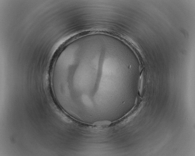 X0000114100928200910191639