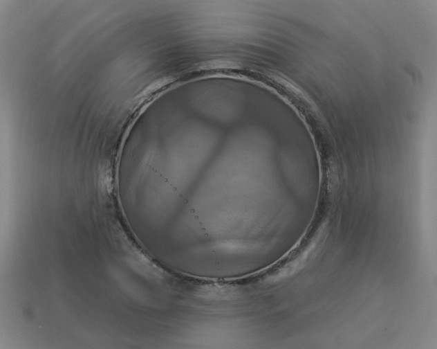 X0000114100929200910191639