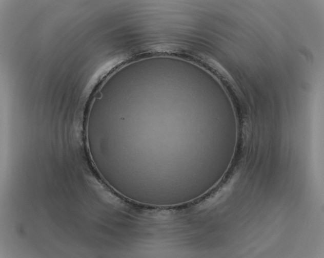 X0000114100930200910191639