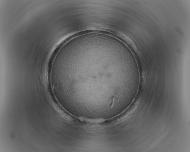 X0000114100931200910191639