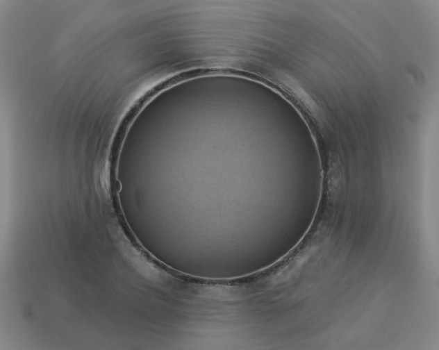 X0000114100932200910191639