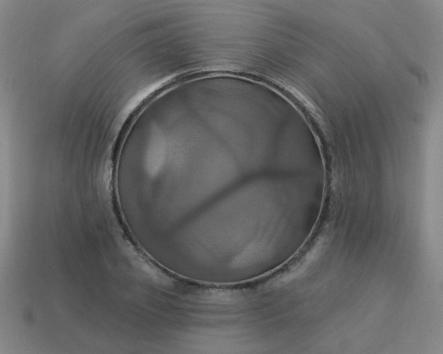 X0000114100933200910191639