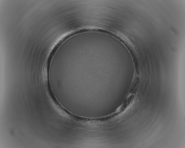 X0000114100934200910191639