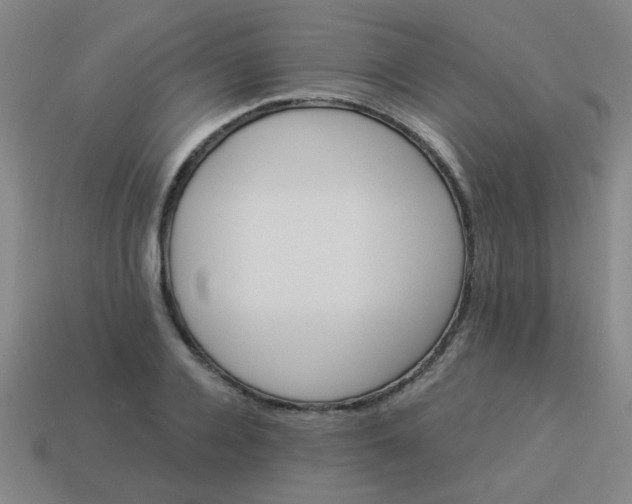 X0000114100936200910191639