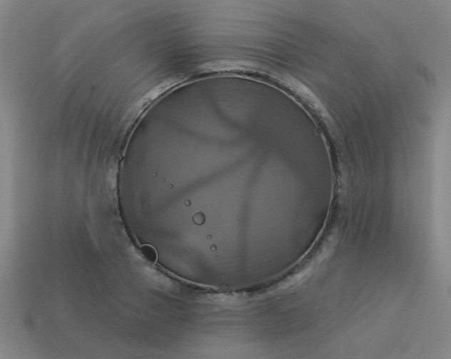 X0000114100937200910191639