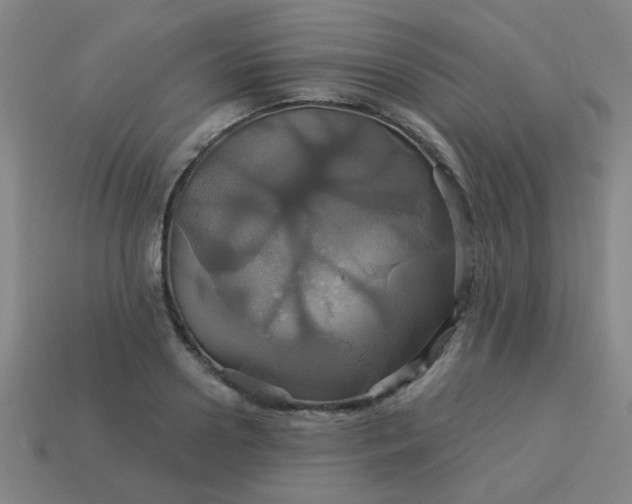 X0000114100938200910191639