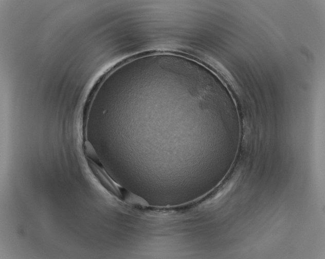 X0000114100939200910191639