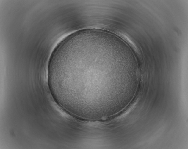 X0000114100940200910191639