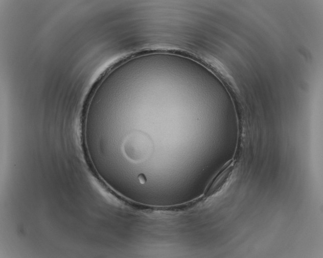 X0000114100942200910191639