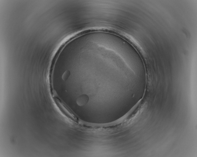 X0000114100943200910191639