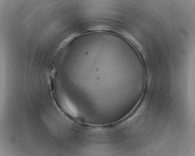 X0000114100945200910191639