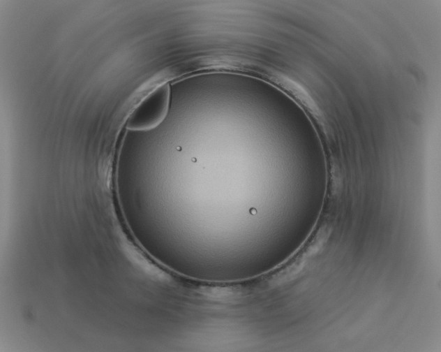 X0000114100946200910191639