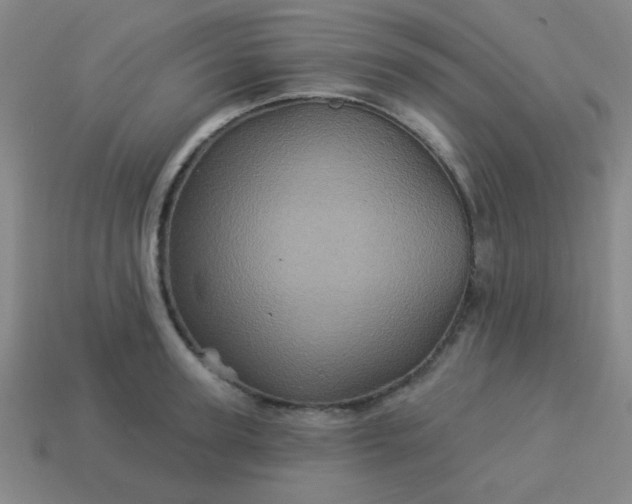 X0000114100947200910191639