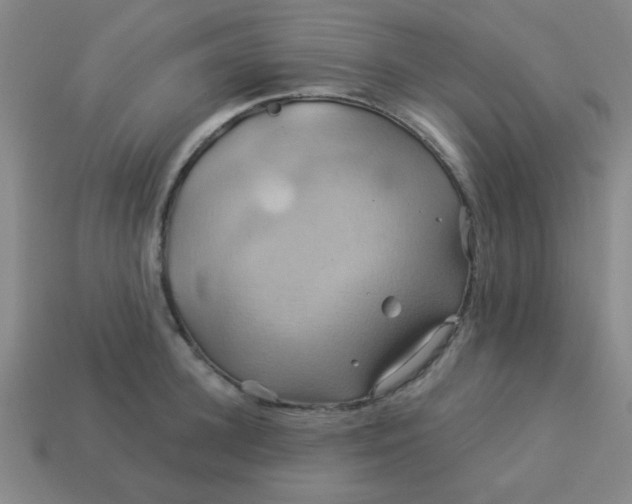 X0000114100948200910191639