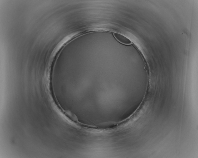 X0000114100949200910191639