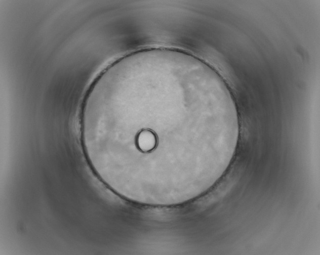 X0000114100950200910191639