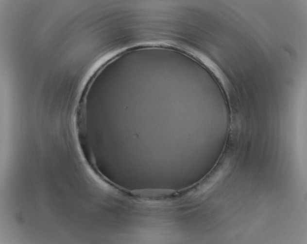 X0000114100951200910191639