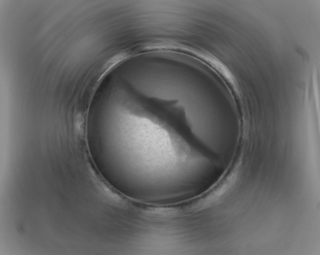 X0000114100953200910191639