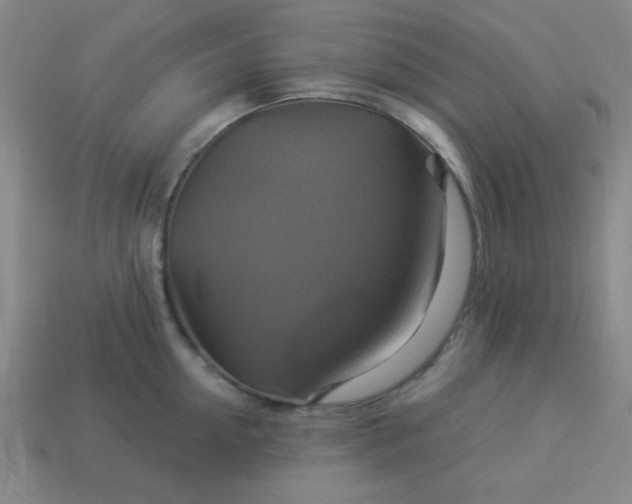 X0000114100954200910191639