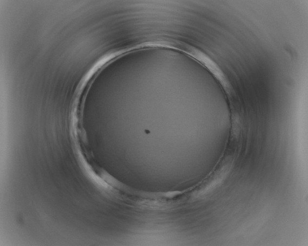 X0000114100955200910191639