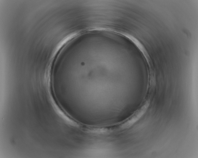 X0000114100957200910191639