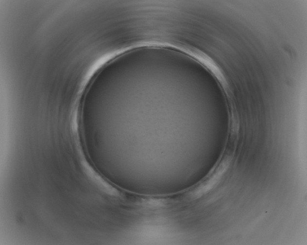 X0000114100958200910191639