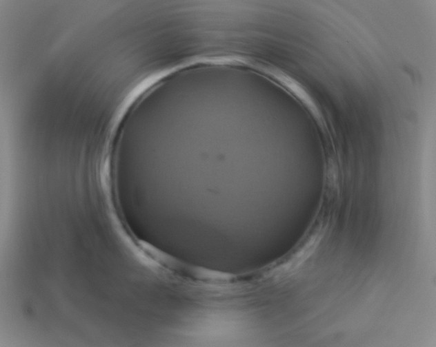 X0000114100959200910191639