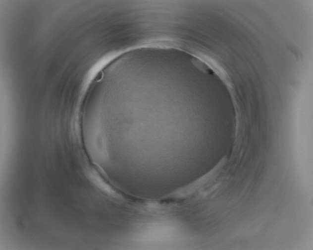 X0000114100960200910191639