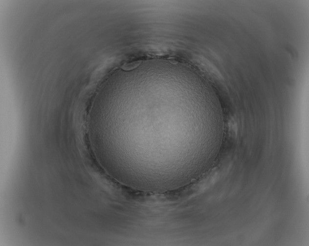 X0000114100961200910191639