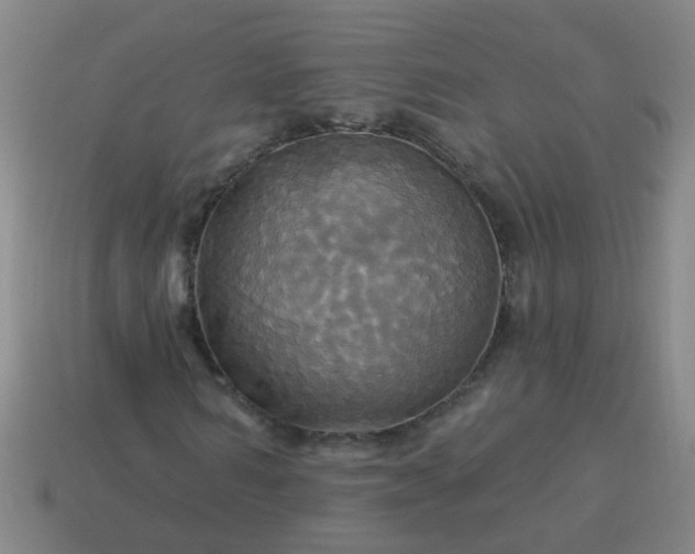 X0000114100962200910191639