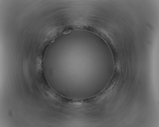 X0000114100964200910191639