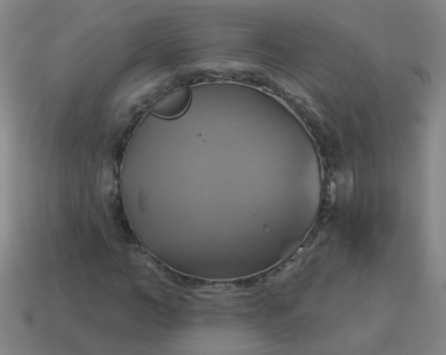 X0000114100966200910191639