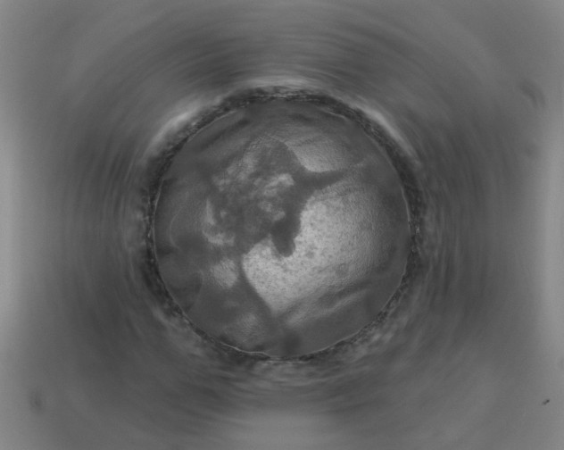 X0000114100967200910191639