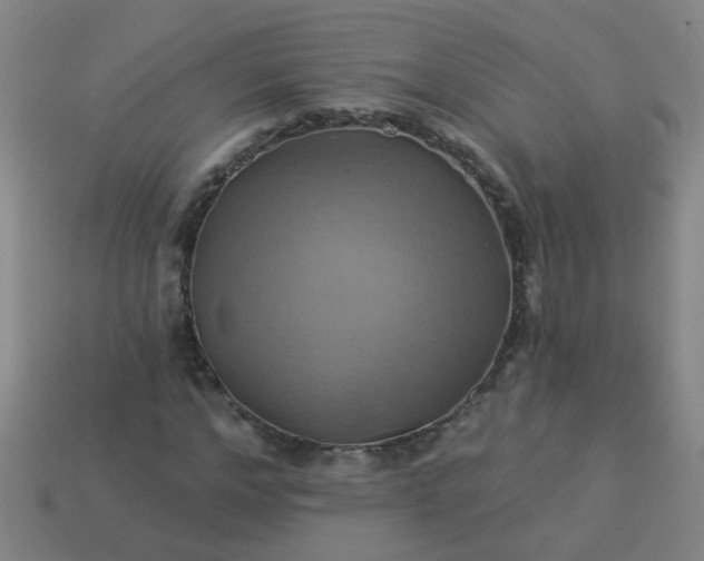 X0000114100968200910191639