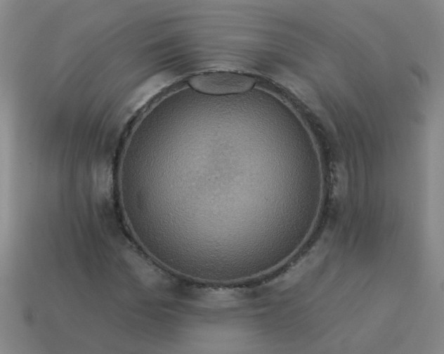 X0000114100969200910191639