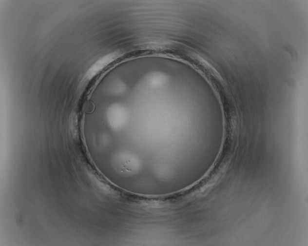 X0000114100970200910191639