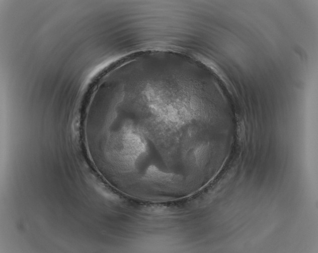 X0000114100971200910191639